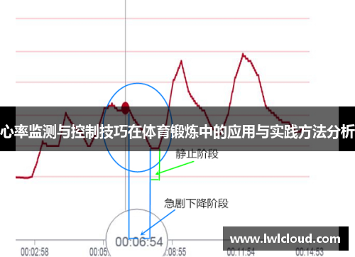 心率监测与控制技巧在体育锻炼中的应用与实践方法分析